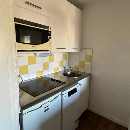 Au Pied Des Pistes Avec Wifi Et Animaux Admis - Fr-1-181-2247 Apartment La Plagne-Tarentaise