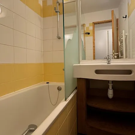 Apartment Au Pied Des Pistes Avec Wifi Et Animaux Admis - Fr-1-181-2247 La Plagne-Tarentaise